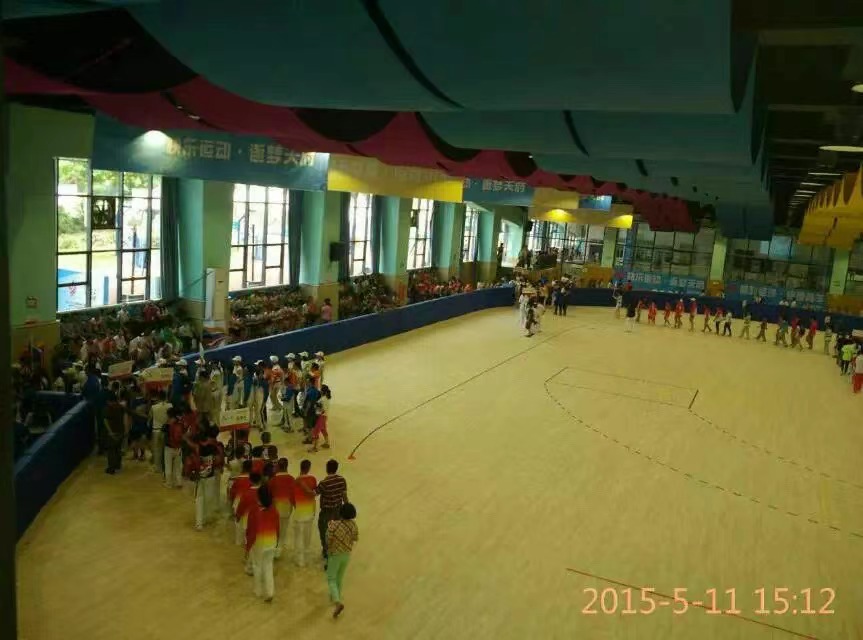 14.第九屆全國(guó)殘奧會(huì)、輪滑、手球比賽場(chǎng)地.jpg